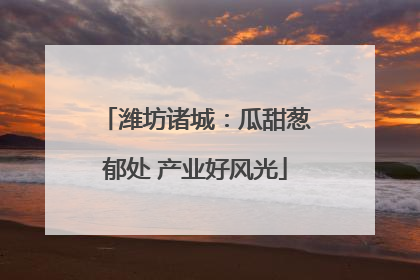 潍坊诸城：瓜甜葱郁处 产业好风光