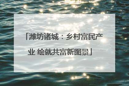 潍坊诸城：乡村富民产业 绘就共富新图景