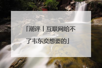 潮评丨互联网给不了韦东奕想要的