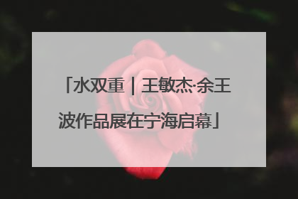 水双重｜王敏杰·余王波作品展在宁海启幕