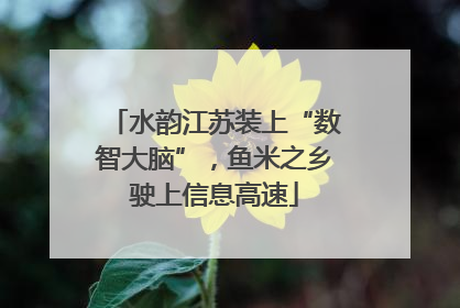 水韵江苏装上“数智大脑”，鱼米之乡驶上信息高速