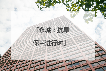 永城：抗旱保苗进行时