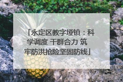 永定区教字垭镇：科学调度 干群合力 筑牢防洪抢险坚固防线