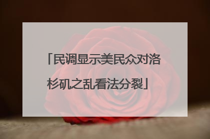 民调显示美民众对洛杉矶之乱看法分裂