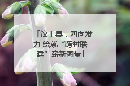 汶上县：四向发力 绘就“跨村联建”崭新图景