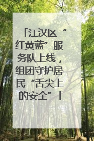 江汉区“红黄蓝”服务队上线，组团守护居民“舌尖上的安全”