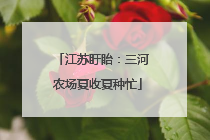 江苏盱眙：三河农场夏收夏种忙