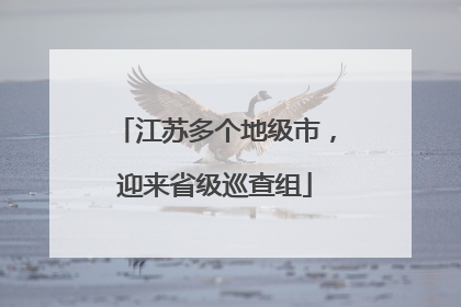 江苏多个地级市，迎来省级巡查组