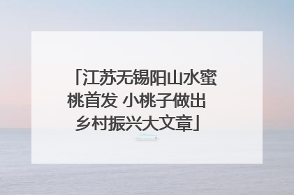 江苏无锡阳山水蜜桃首发 小桃子做出乡村振兴大文章