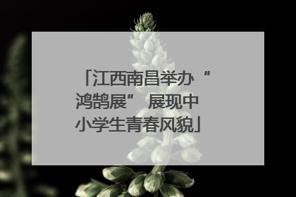 江西南昌举办“鸿鹄展” 展现中小学生青春风貌