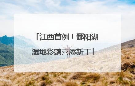 江西首例！鄱阳湖湿地彩鹮喜添新丁