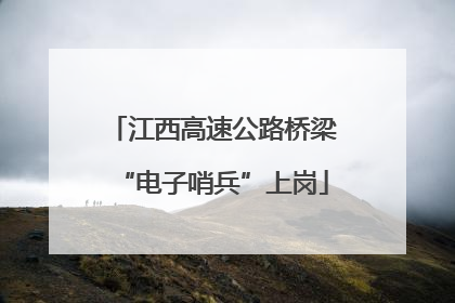 江西高速公路桥梁“电子哨兵”上岗