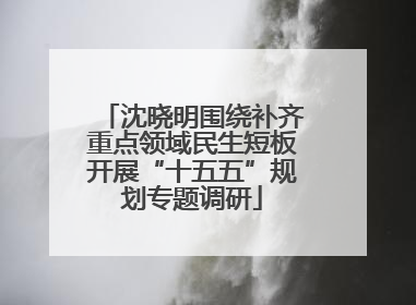 沈晓明围绕补齐重点领域民生短板开展“十五五”规划专题调研