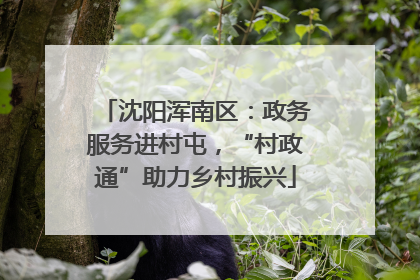 沈阳浑南区：政务服务进村屯，“村政通”助力乡村振兴