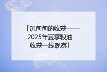 沉甸甸的收获——2025年夏季粮油收获一线观察
