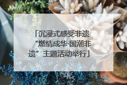 沉浸式感受非遗 “燃情成华·国潮非遗”主题活动举行