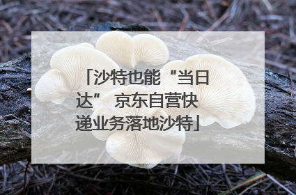 沙特也能“当日达” 京东自营快递业务落地沙特
