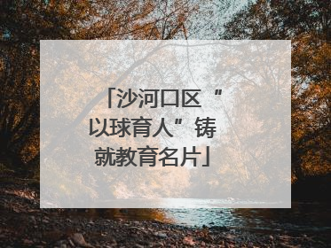 沙河口区“以球育人”铸就教育名片