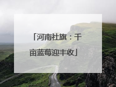 河南社旗：千亩蓝莓迎丰收