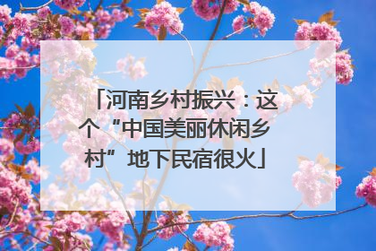 河南乡村振兴：这个“中国美丽休闲乡村”地下民宿很火