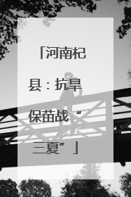河南杞县：抗旱保苗战“三夏”