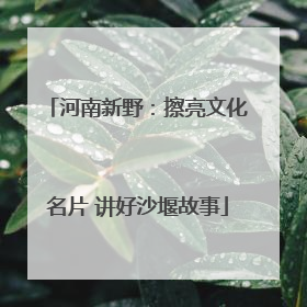 河南新野：擦亮文化名片 讲好沙堰故事