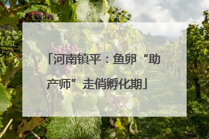 河南镇平：鱼卵“助产师”走俏孵化期