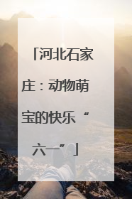 河北石家庄：动物萌宝的快乐“六一”