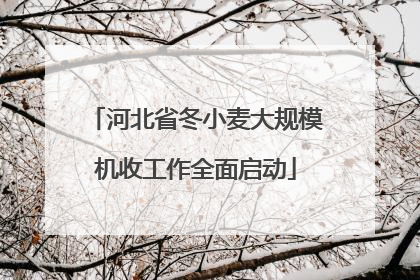 河北省冬小麦大规模机收工作全面启动