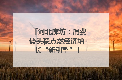 河北廊坊：消费势头稳点燃经济增长“新引擎”
