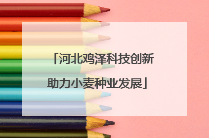河北鸡泽科技创新助力小麦种业发展
