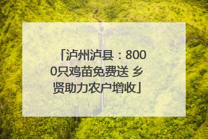 泸州泸县：8000只鸡苗免费送 乡贤助力农户增收