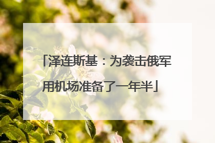 泽连斯基：为袭击俄军用机场准备了一年半