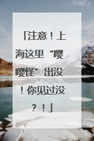 注意！上海这里“嘤嘤怪”出没！你见过没？！
