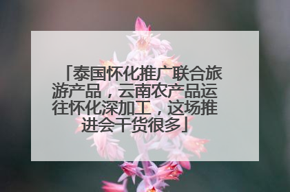泰国怀化推广联合旅游产品，云南农产品运往怀化深加工，这场推进会干货很多