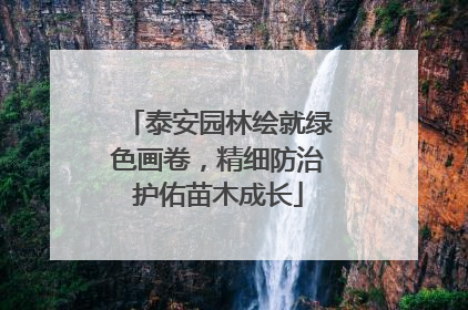 泰安园林绘就绿色画卷，精细防治护佑苗木成长