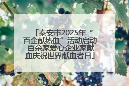 泰安市2025年“百企献热血”活动启动 百余家爱心企业家献血庆祝世界献血者日