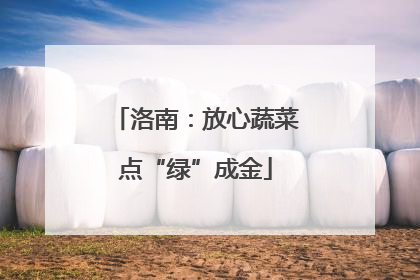 洛南：放心蔬菜点“绿”成金