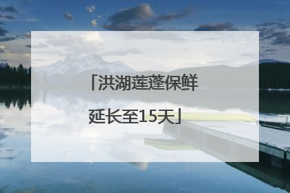 洪湖莲蓬保鲜延长至15天