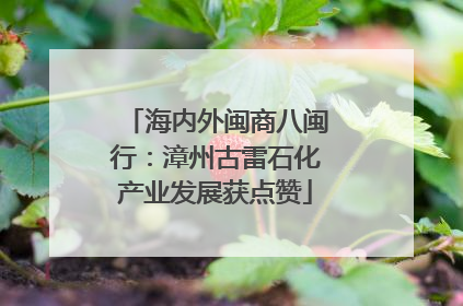 海内外闽商八闽行：漳州古雷石化产业发展获点赞