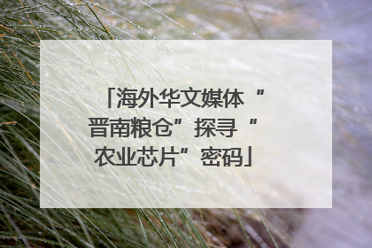 海外华文媒体“晋南粮仓”探寻“农业芯片”密码