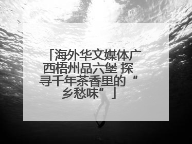 海外华文媒体广西梧州品六堡 探寻千年茶香里的“乡愁味”