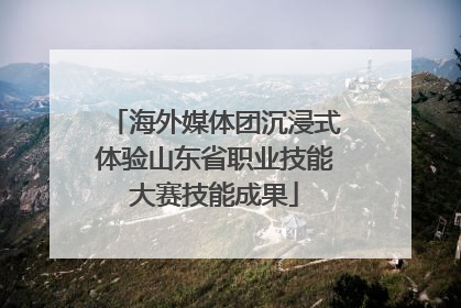 海外媒体团沉浸式体验山东省职业技能大赛技能成果