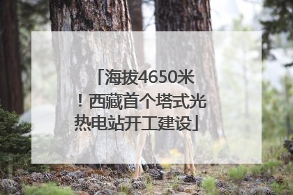 海拔4650米！西藏首个塔式光热电站开工建设
