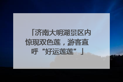 济南大明湖景区内惊现双色莲，游客直呼“好运莲莲”