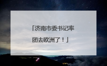 济南市委书记率团去欧洲了！