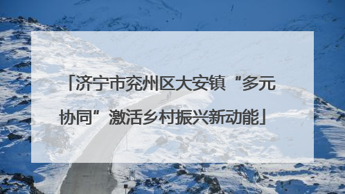 济宁市兖州区大安镇“多元协同”激活乡村振兴新动能