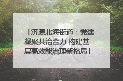 济源北海街道：党建凝聚共治合力 构建基层高效能治理新格局