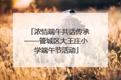 浓情端午共话传承——管城区大王庄小学端午节活动
