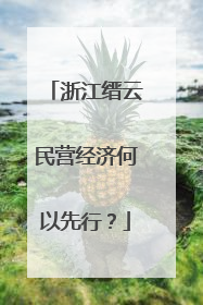 浙江缙云民营经济何以先行？
